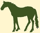 cheval