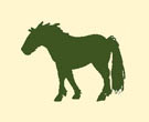 poney